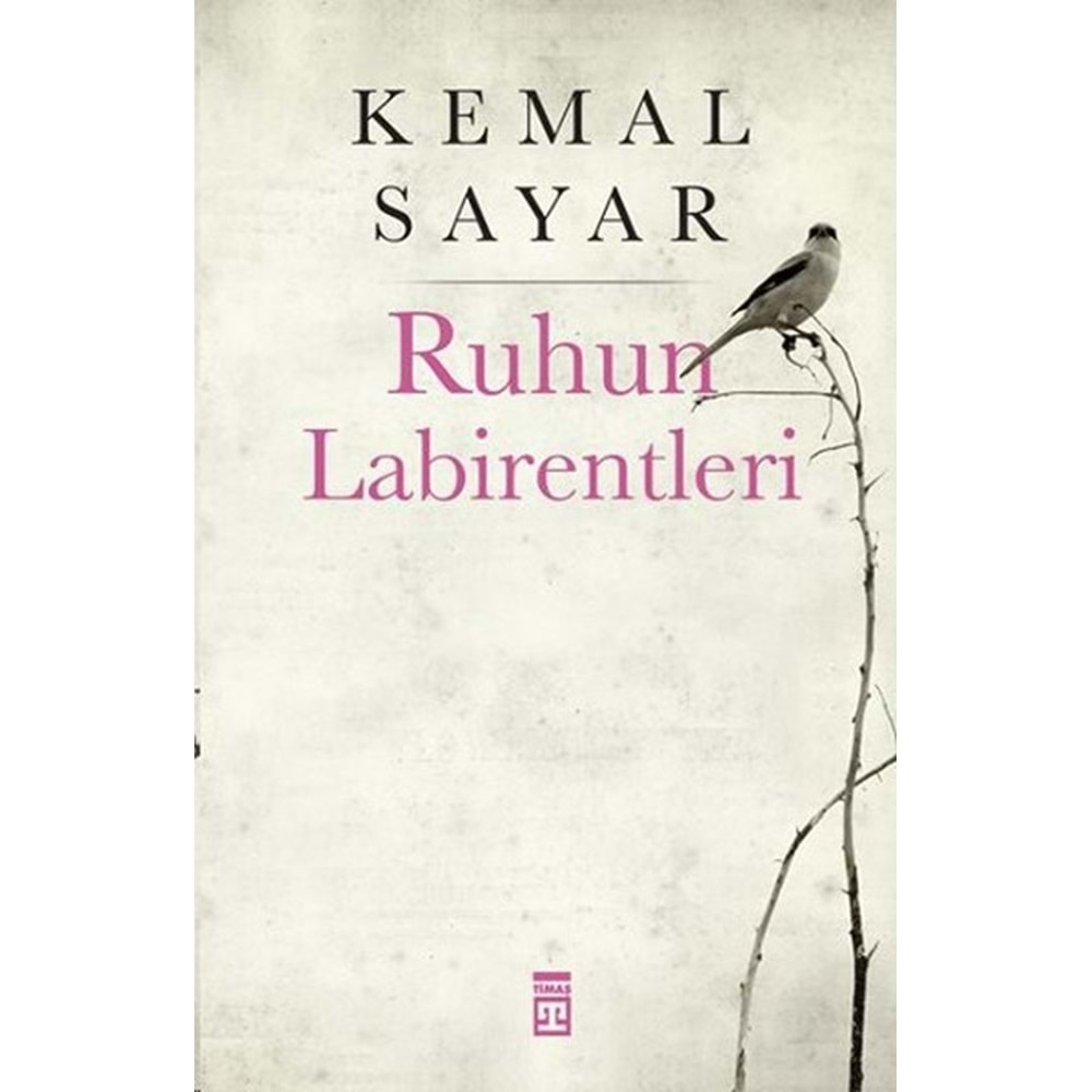 Ruhun Labirentleri