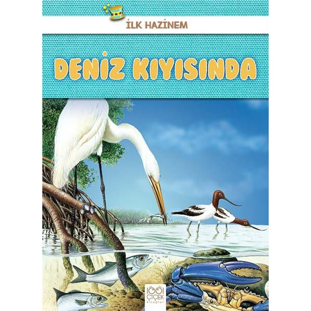 Deniz Kıyısında