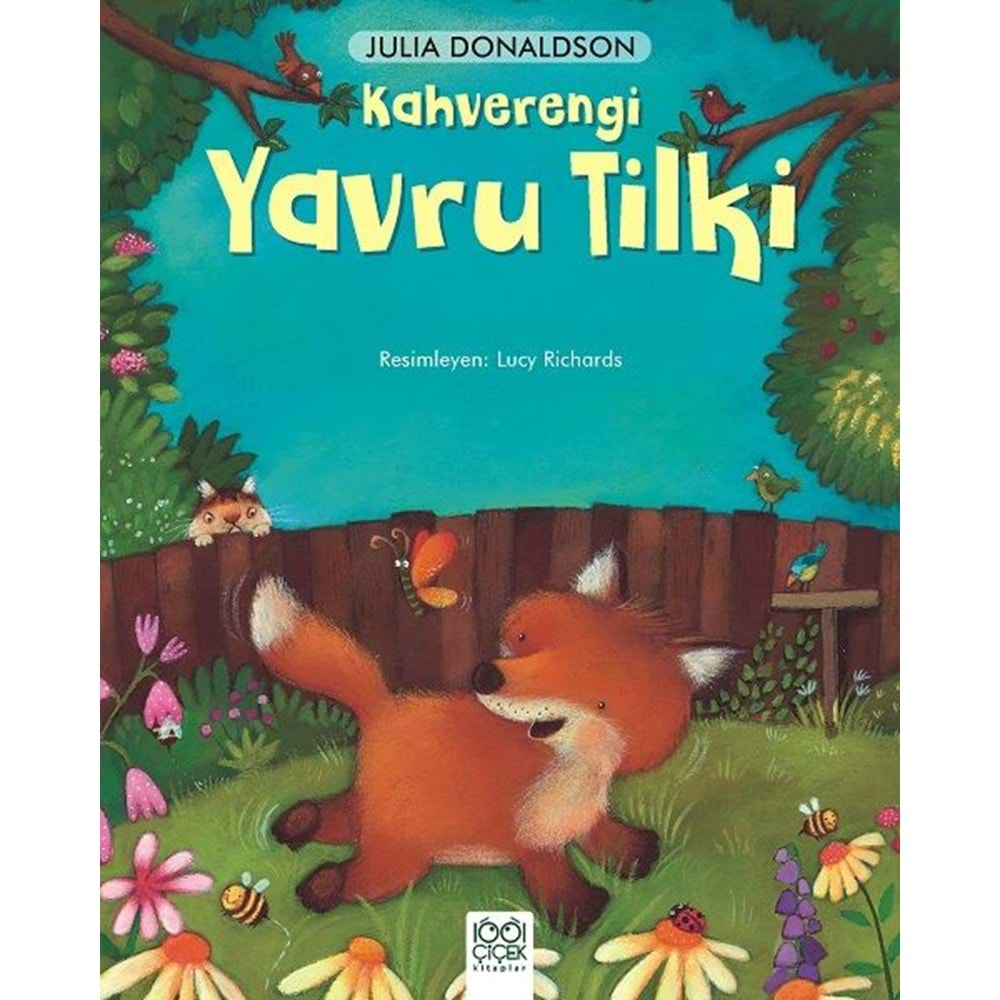 Kahverengi Yavru Tilki