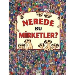 Nerede Bu Mirketler?